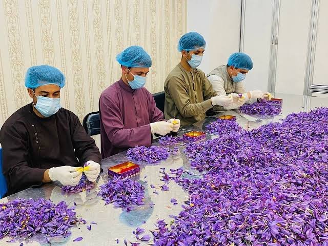 images - 2026-01-10T120110.312