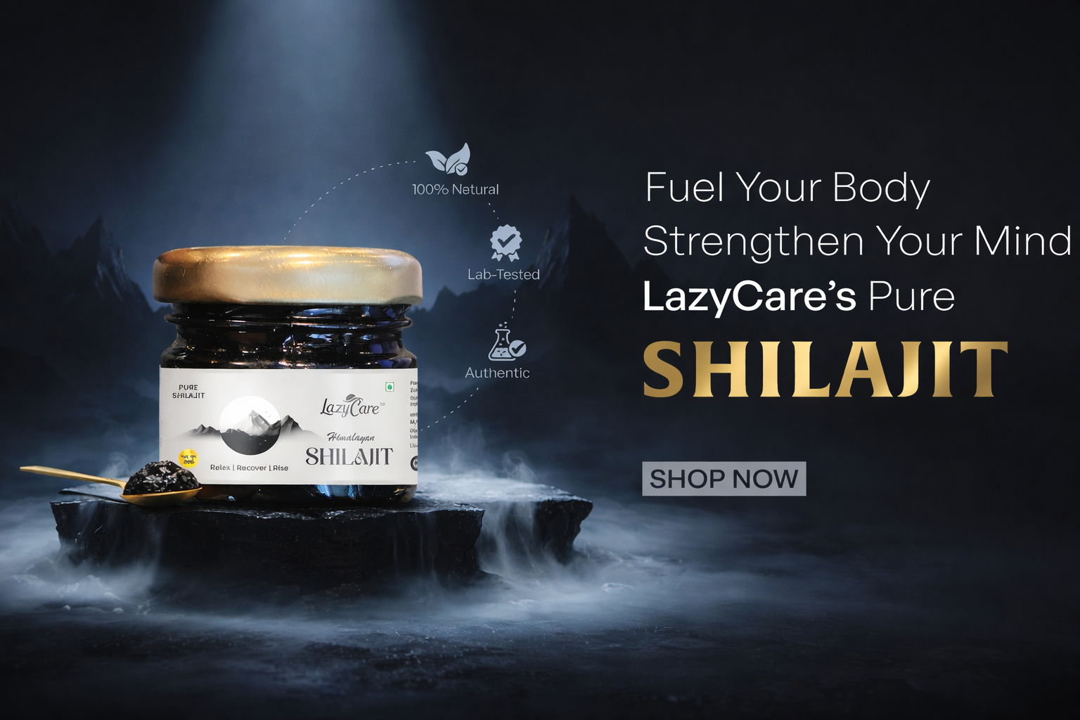 ChatGPT Image Mar 17, 2026, 01_33_17 PM shilajitdesk